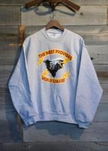 <img class='new_mark_img1' src='https://img.shop-pro.jp/img/new/icons1.gif' style='border:none;display:inline;margin:0px;padding:0px;width:auto;' />THE NEST / WORLD'S FASTEST CREW NECK (Gray)