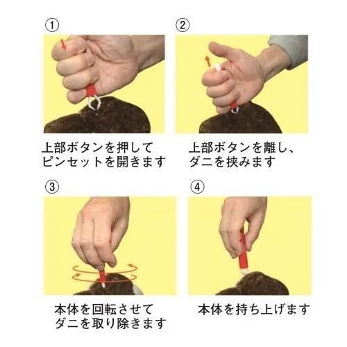 ͥ