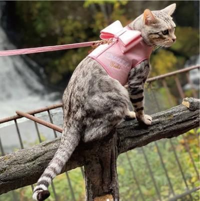 DEVAN  リボン首輪＆リード　ピンク ハーネス】 通販で犬用のリードや首輪をお探しならDEVANへ！トイ