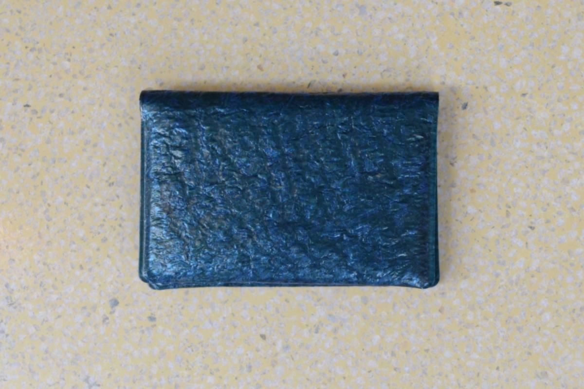 PE FOLDING CARD CASE [Industrial blue] 