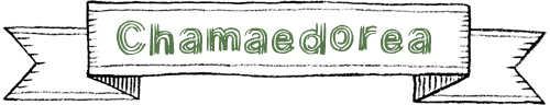 ơ֥䥷