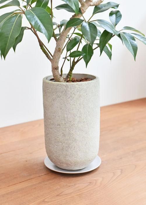 ツピダンサス 022401 販売・通販 *tree tree*
