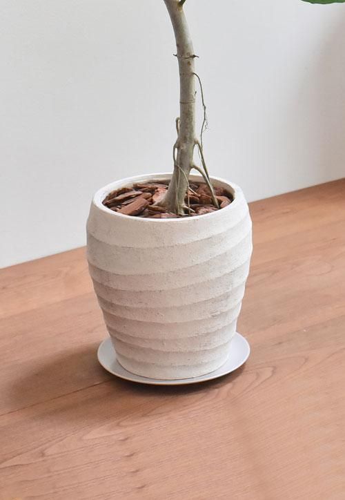 ウンベラータ 072101 販売・通販 ［詳細ページ］ *tree tree*