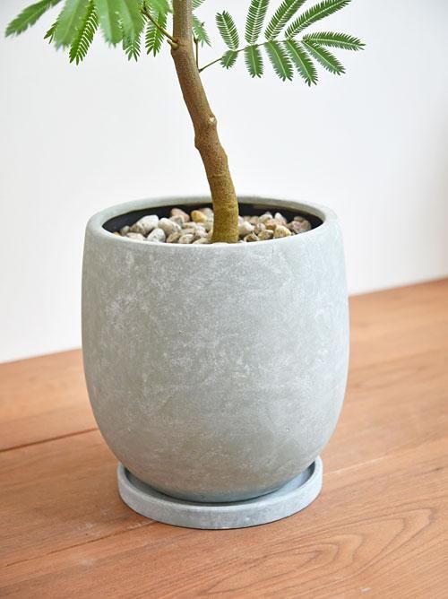 エバーフレッシュ 082302 販売・通販 ［詳細ページ］ *tree tree*
