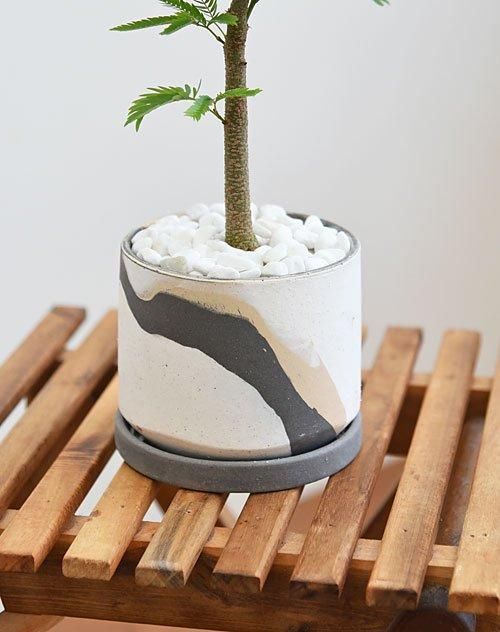 エバーフレッシュ 032407 販売・通販 ［詳細ページ］ *tree tree*