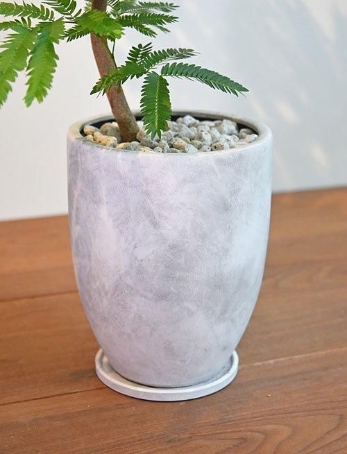 エバーフレッシュ 072402 販売・通販 ［詳細ページ］ *tree tree*