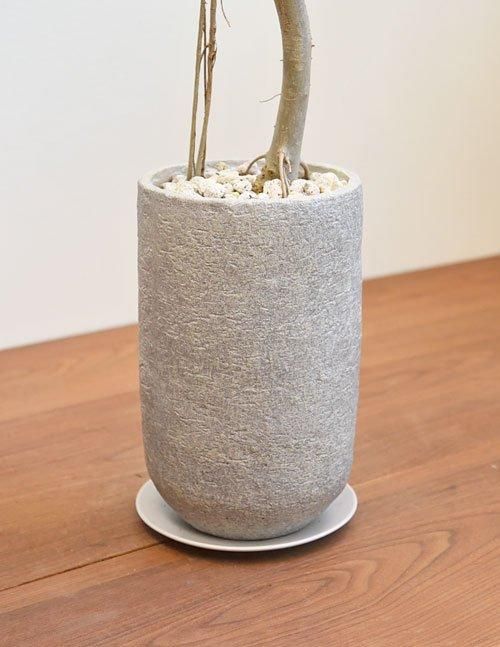 ウンベラータ 112401 販売・通販 ［詳細ページ］ *tree tree*