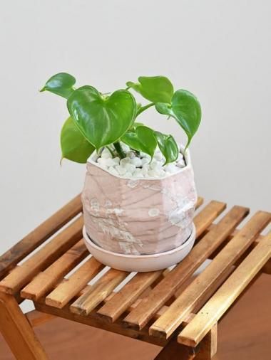 եǥ󡦥饸饨<img class='new_mark_img2' src='https://img.shop-pro.jp/img/new/icons15.gif' style='border:none;display:inline;margin:0px;padding:0px;width:auto;' />