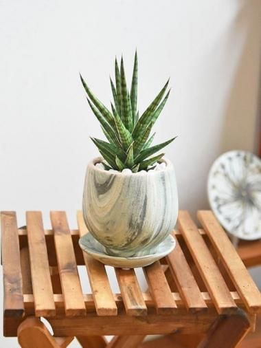 󥹥٥ꥢե󥷥<img class='new_mark_img2' src='https://img.shop-pro.jp/img/new/icons15.gif' style='border:none;display:inline;margin:0px;padding:0px;width:auto;' />