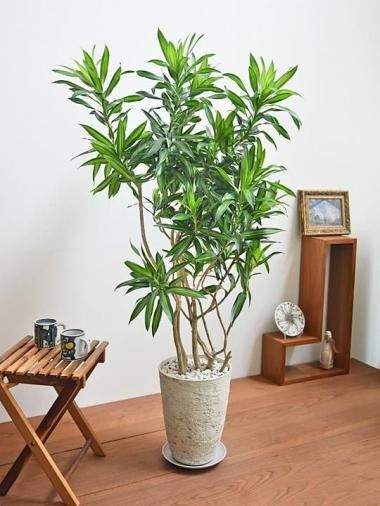 ɥ饻ʡ󥰥֥ޥ<img class='new_mark_img2' src='https://img.shop-pro.jp/img/new/icons15.gif' style='border:none;display:inline;margin:0px;padding:0px;width:auto;' />