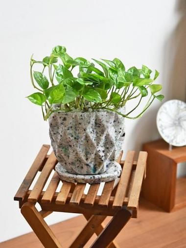 ݥȥХ륰꡼<img class='new_mark_img2' src='https://img.shop-pro.jp/img/new/icons15.gif' style='border:none;display:inline;margin:0px;padding:0px;width:auto;' />