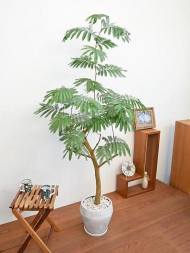 ���С��ե�å���<img class='new_mark_img2' src='https://img.shop-pro.jp/img/new/icons15.gif' style='border:none;display:inline;margin:0px;padding:0px;width:auto;' />