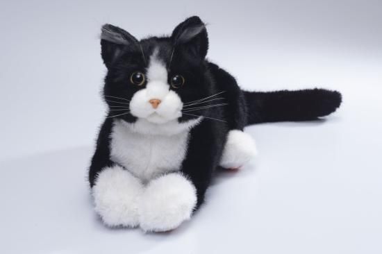 猫柄　猫雑貨　猫グッズ　なでなでねこちゃんEX ハチワレ　キャット　cat Amazon.co.jp: トレンドマスター なでなでねこちゃんEX ハチワレ