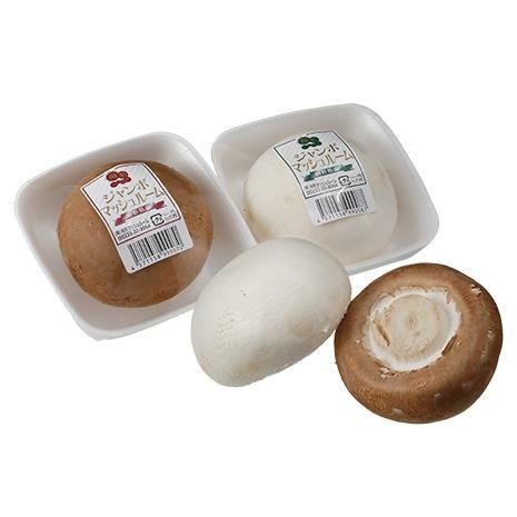 クレミニジャンボマッシュルーム - マッシュルームの通販｜生の美味し