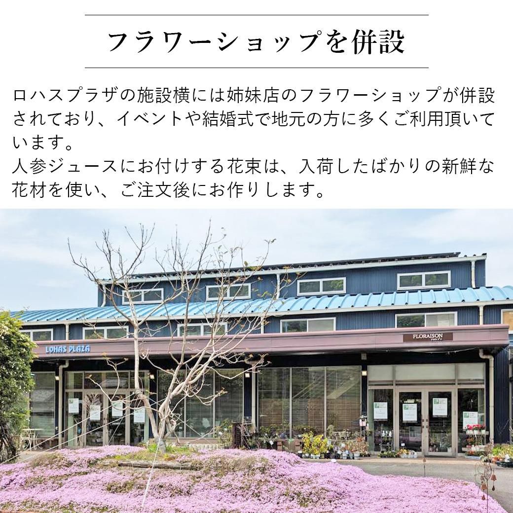 2023˿ͻ塼Ȳ«Υåȥե