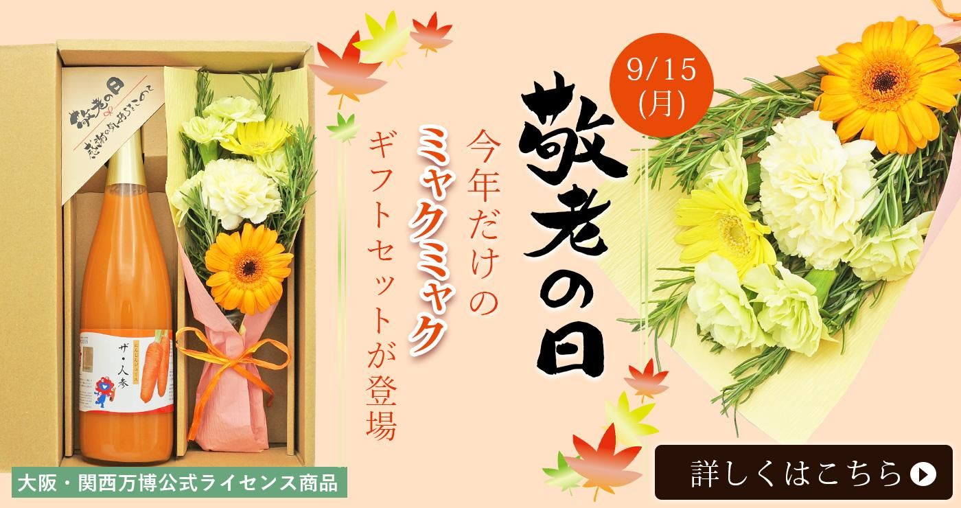 Ϸͻ塼ե