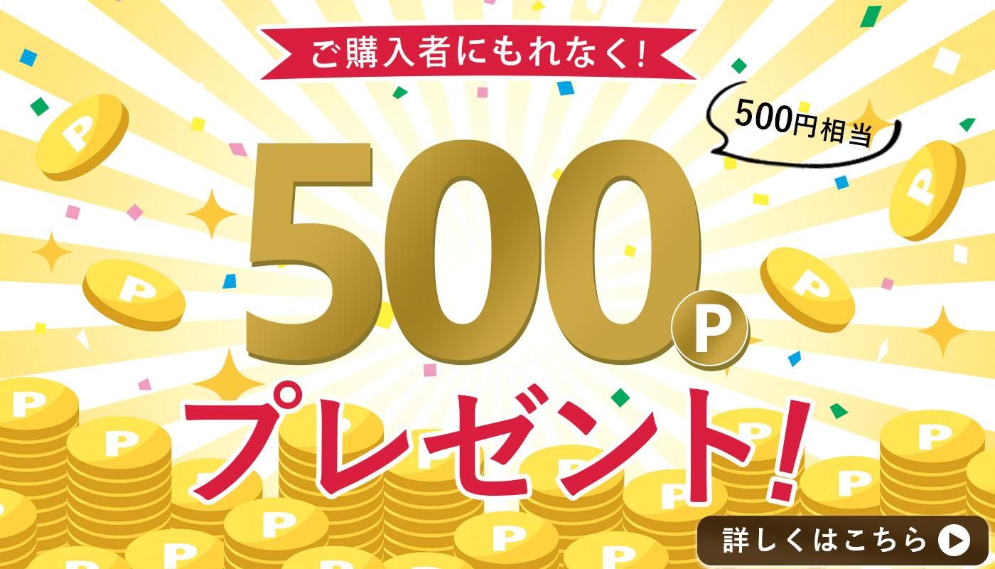 Ԥˤʤ500ʬΥݥȥץ쥼
