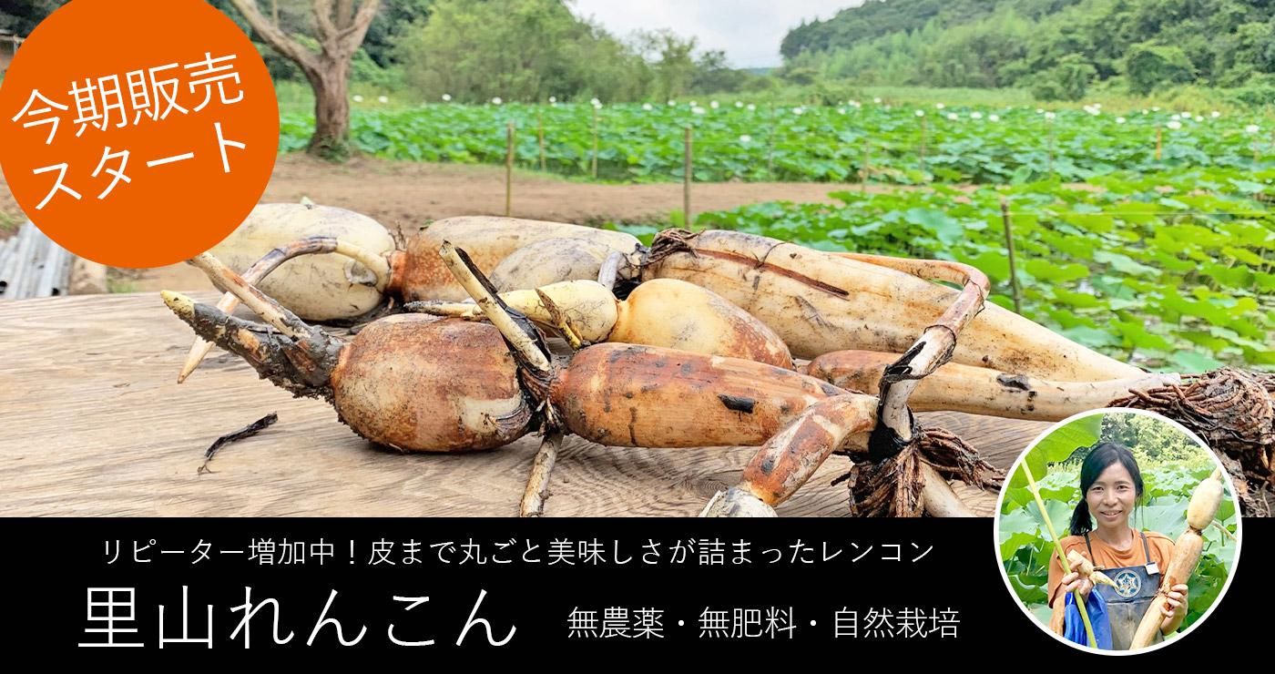 Τ󤳤䳫