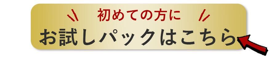 ͻ塼ѥåϤ