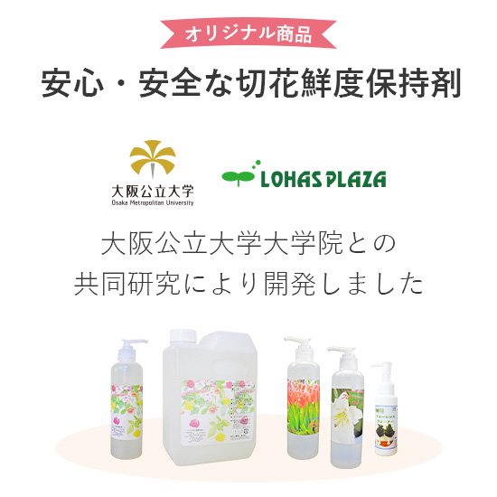 フローレンスウォーター 切花延命剤の通信販売 ロハスプラザ