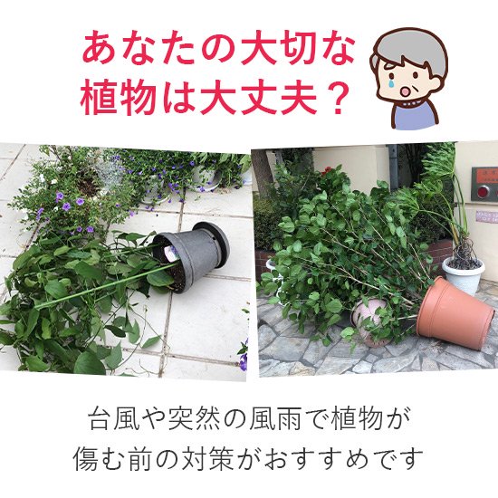 鉢転倒ストッパー の 通信販売 | 強風で植木鉢が倒れるのを防ぐ