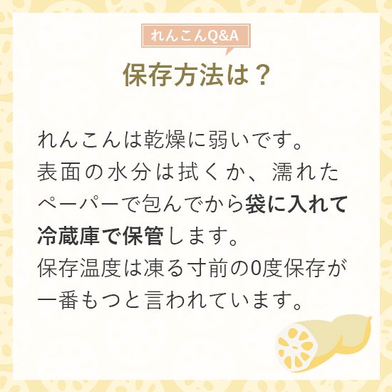 送料無料】自然栽培のれんこん通信販売 | LOHAS PLAZA