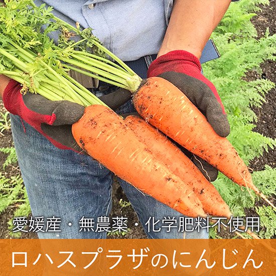 特急 【専用】無肥料 無農薬 にんじん(5kg)＆無肥料 無農薬