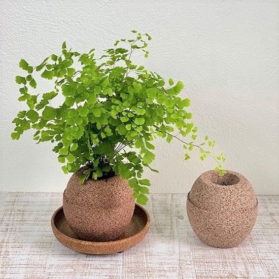 カビが生えない植木鉢の通信販売 | 水を溜め込む鉢 | LOHAS PLAZA