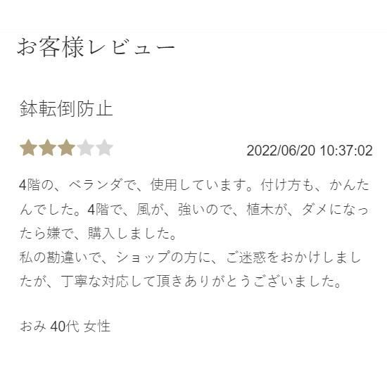 奥田康博 神楽窯 呉須 染付 亀文 茶碗 共箱 - メルカリ
