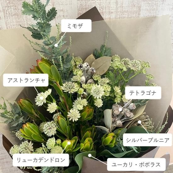 送料無料】そのままドライにできる花束の通信販売 | ロハスプラザ
