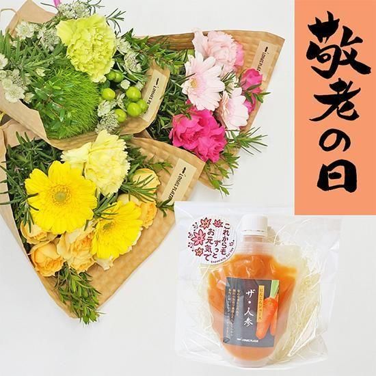 山採りクロモジ苗木 和ハーブ 香り◎ 約140cm 2 クロモジ苗の通信販売 | 日本原産の和ハーブ | ロハスプラザ
