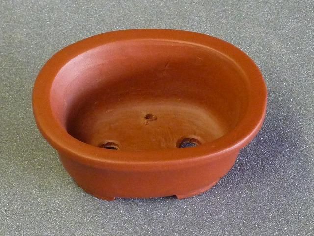 柴勝　盆栽鉢 盆栽鉢 柴勝 楕円鉢 【作家鉢 常滑焼 日本鉢 盆栽小鉢 ギフト