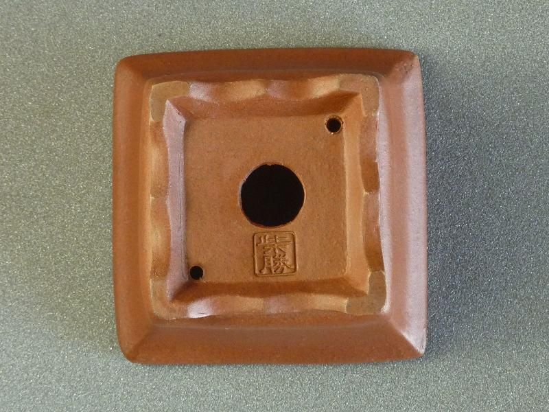 盆栽鉢　柴勝d 盆栽鉢 常滑 柴勝 小型 長辺 約12.5cm 長方鉢 外縁 段足 泥鉢