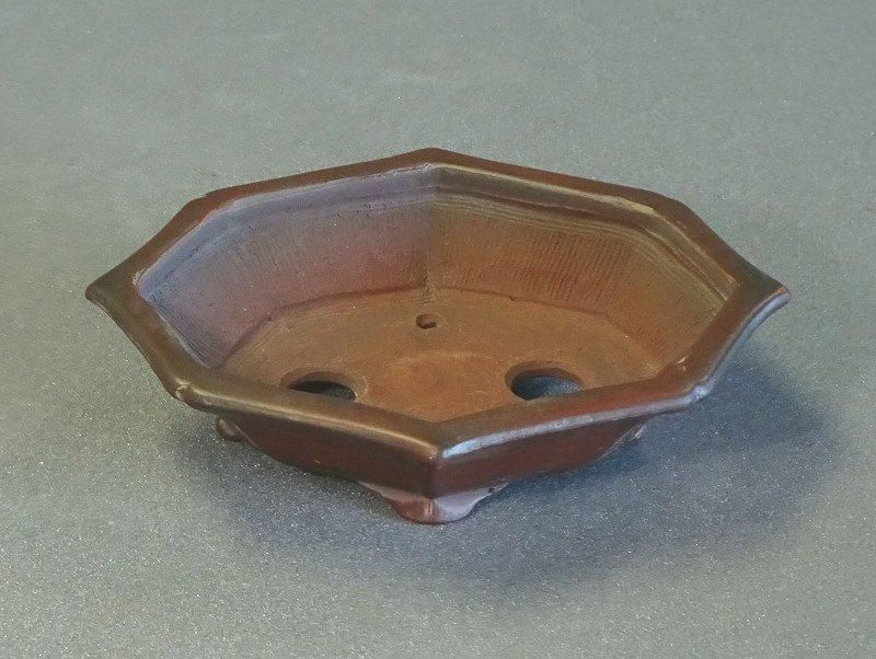 B574美芸4号外縁八角鉢 - 盆栽鉢と常滑焼の店 MARUTATU【まるたつ】