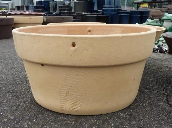 常滑焼12号フチ付睡蓮鉢(ゴマ) - 盆栽鉢と常滑焼の店 MARUTATU【まるたつ】
