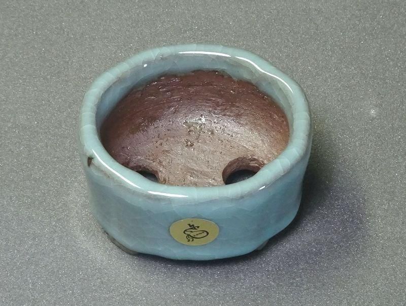 S474秀峰2号青磁釉木瓜式鉢 - 盆栽鉢と常滑焼の店 MARUTATU【まるたつ】