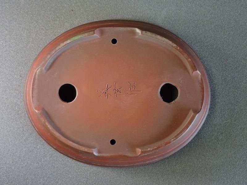 B559美芸6号帯縁胴紐楕円鉢(浅) - 盆栽鉢と常滑焼の店 MARUTATU【まる