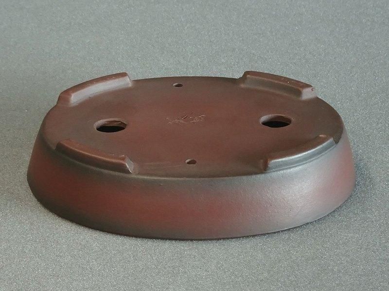 美芸　盆栽鉢 楽天市場】 盆栽鉢 > 作家鉢 > 常滑：美芸（びげい） : 遊恵盆栽