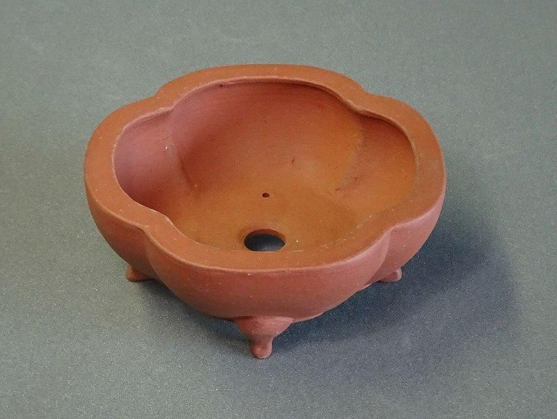 銭号鉢(常滑)、英明鉢(常滑) 0000000010592_GbOWNhi.jpg