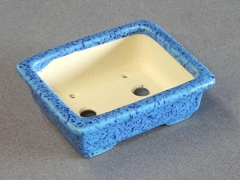 鴻陽　大きめ鉢 鴻陽 大きめ鉢