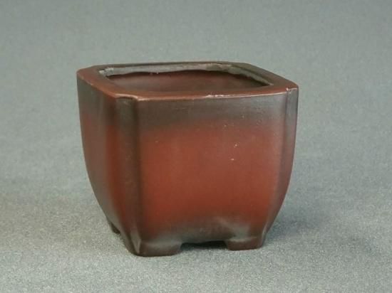 盆栽鉢 美芸 小鉢 常滑焼 美芸作