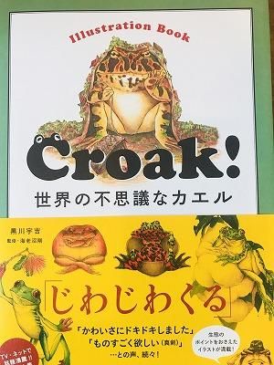 最高のイラスト画像 最新のhdかっこいい 世界 一 かっこいい カエル イラスト 最高のイラスト画像 最新のhdかっこいい 世界 一 かっこいい カエル イラスト