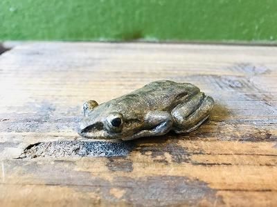 カジカガエル マグネット カジカガエル マグネット
