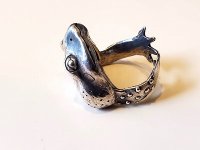 ヒキガエルの指輪
