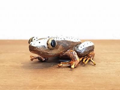 カエル　インドネシア　木製バナナ　特大 ヒガシオオバナナガエル マグネット