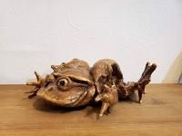 巨大なチチカカミズガエル マグネット