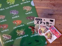 日本のカエル13種グッズセット　アマガエル