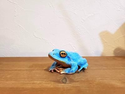 モリアオガエル マグネット