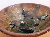 枯れ葉の上に身を隠す黒カエルのおちょこ