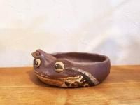 �������ξ������ҥ�������������Ƥ륫����